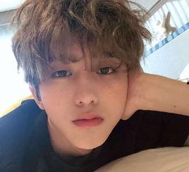 蔡徐坤爆料素材视频下载,一场关于青春与梦想的青春盛宴