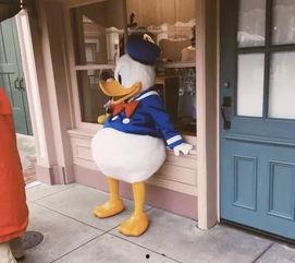 娱乐圈爆料唐老鸭事件,唐老鸭事件真相揭秘