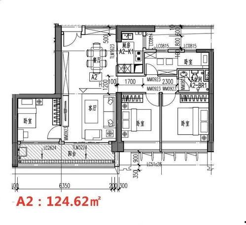 西安新医院爆料事件视频,真相与争议交织的医患关系风云  第3张